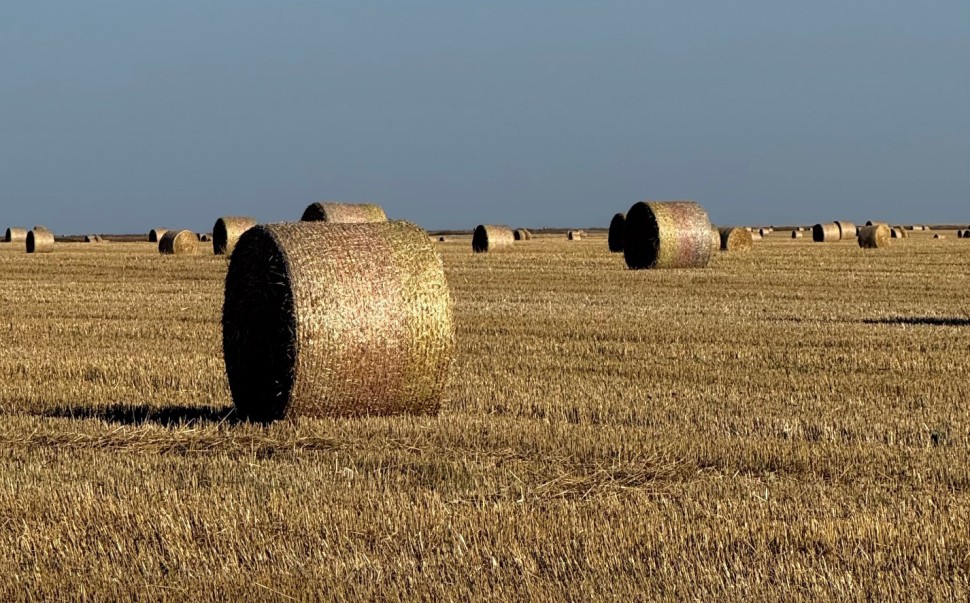 Сетка Kametex под брендом Novatex (Новатекс)